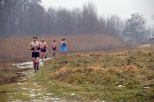 16523550_1343295622402072_1521606281_o